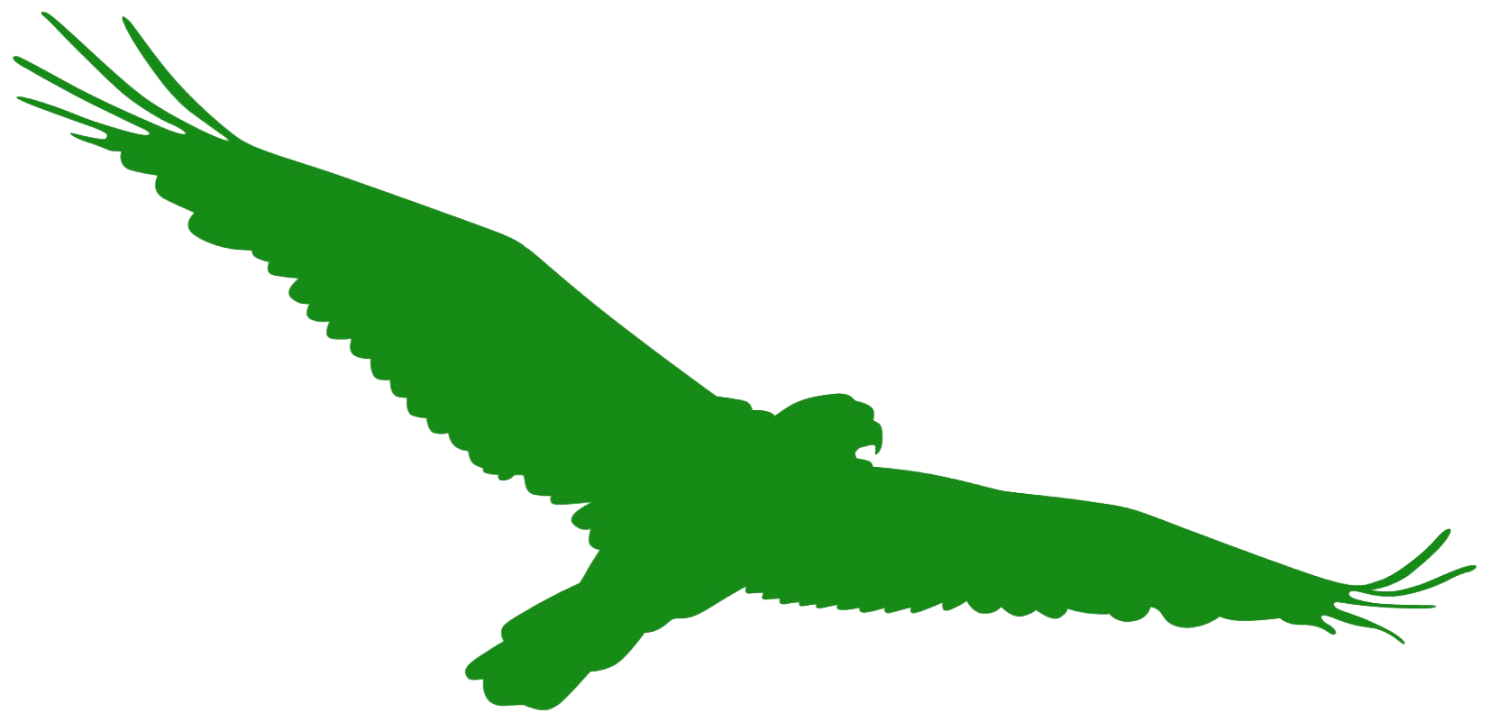 Haw Creek Elementary School Hawks — Asheville, NC 28805
